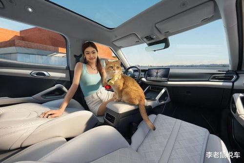 国产A级毛,匠心独运，引领时尚潮流